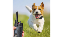 Электронный ошейник для собак Trainertec DT4200
